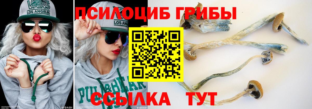Псилоцибиновые грибы MAGIC MUSHROOMS  Вход с VPN  Новоалександровск 