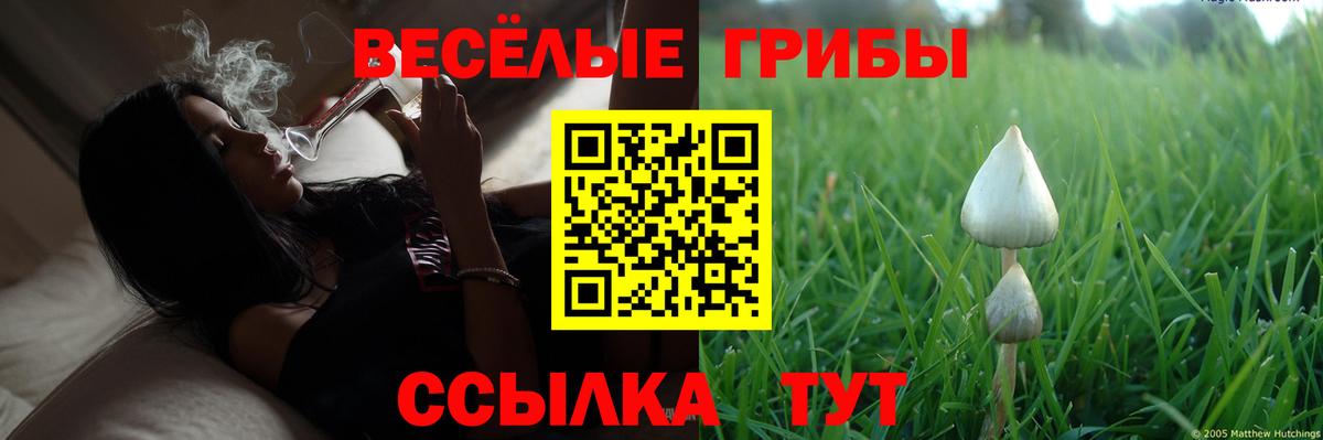 Галлюциногенные грибы мухоморы Новоалександровск