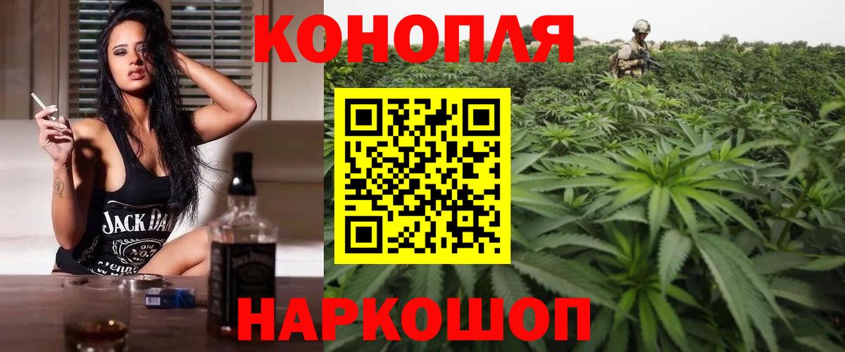 Бошки Шишки план Новоалександровск